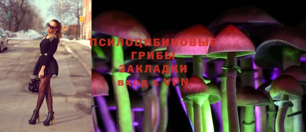 гидра Беломорск