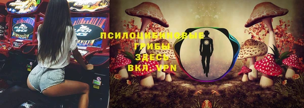 соль ск Белокуриха