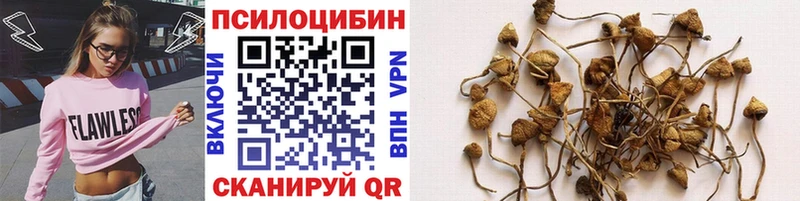 Галлюциногенные грибы Magic Shrooms  Белокуриха 